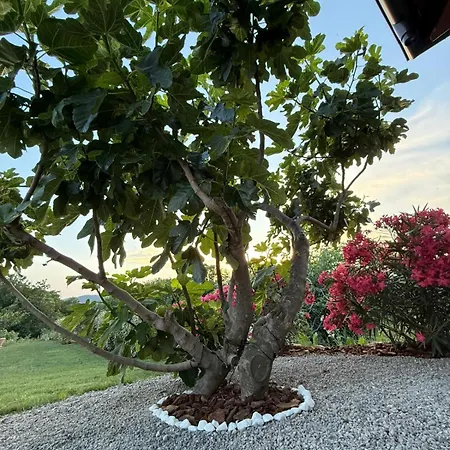 Stara Kuca - Old Stone House *