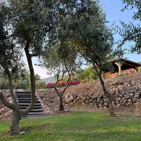 Stara Kuca - Old Stone House * Grižane