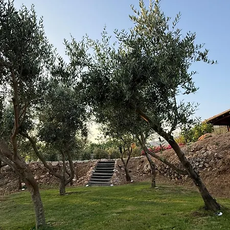 Villa Stara Kuca - Old Stone House