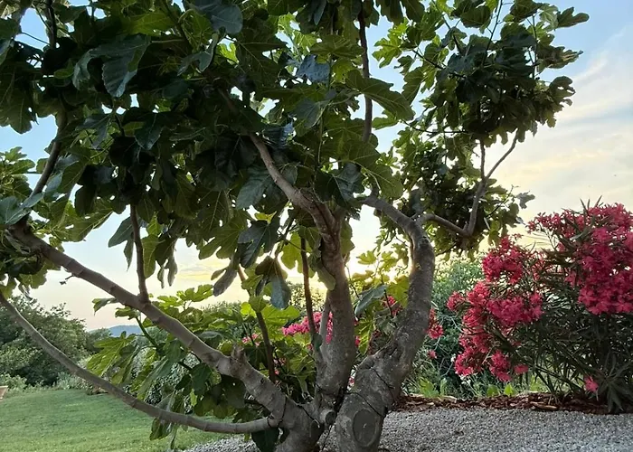 Stara Kuca - Old Stone House *