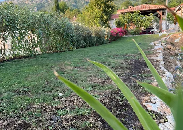 Stara Kuca - Old Stone House Grižane